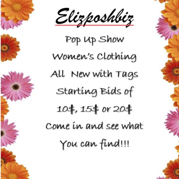 Other - Elizposhbiz Pop Up All New with Tags